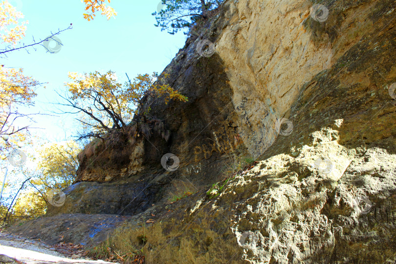 Скачать Тропинка вдоль каменистого склона фотосток Ozero