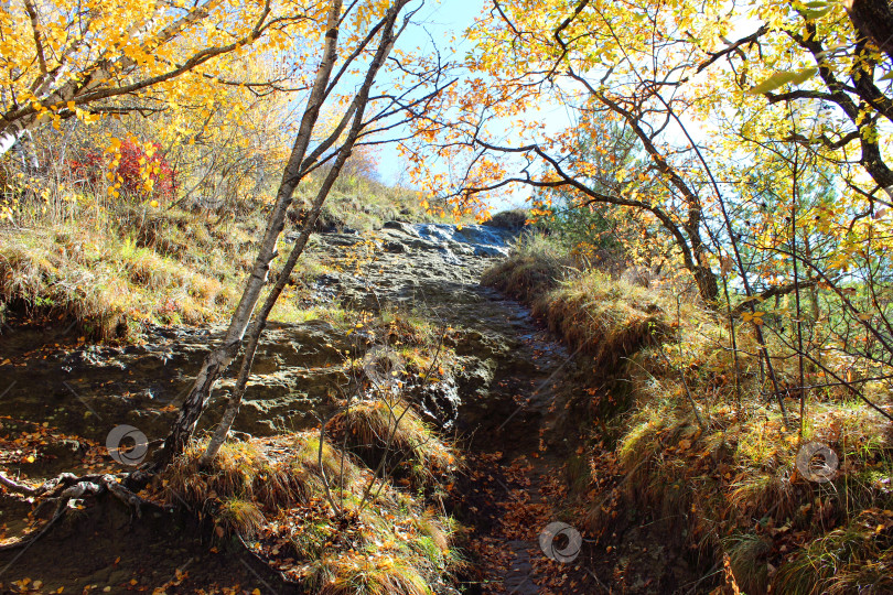 Скачать Каменная тропинка на склоне холма фотосток Ozero