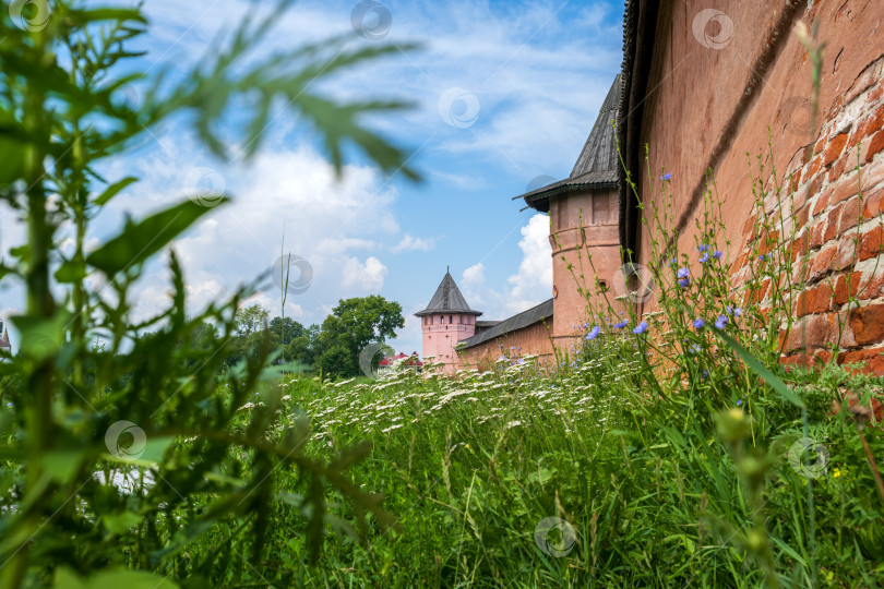 Скачать Суздаль, Владимирская область, Россия - 24.07.2025. Древние стены Свято-Евфимиева монастыря. фотосток Ozero