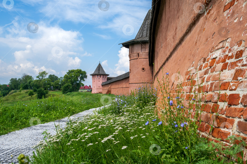 Скачать Суздаль, Владимирская область, Россия - 24.07.2025. Стена Спасо-Евфимиева монастыря на фоне Зеленой дорожки. фотосток Ozero