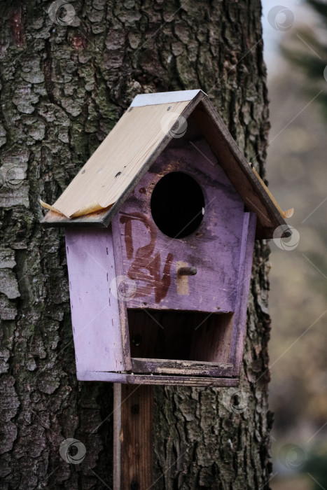 Скачать Сиреневый скворечник на дереве фотосток Ozero