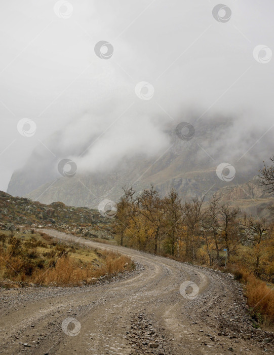 Скачать Бездорожье, мокрая извилистая грунтовая дорога вверх по склону фотосток Ozero