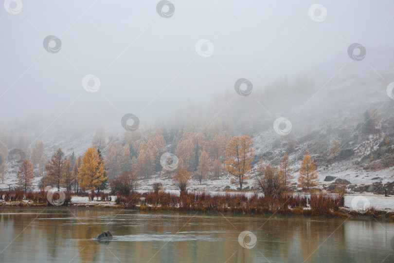 Скачать Фотография осеннего пейзажа с рекой. фотосток Ozero