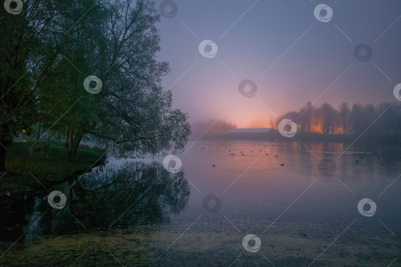 Скачать Фотография сумеречного вида на озеро с заревом пожара на горизонте. фотосток Ozero