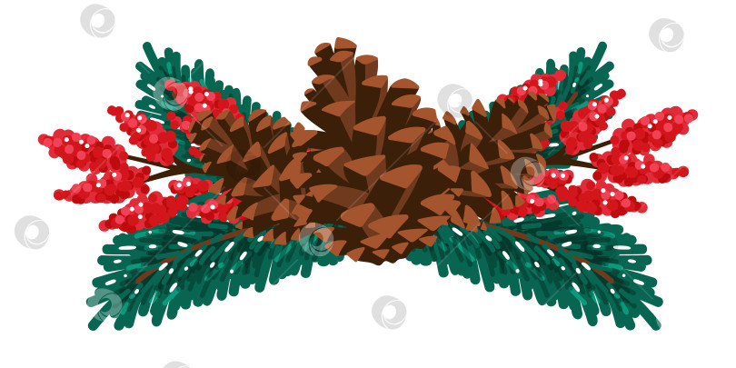 Скачать Зимняя композиция из сосновых шишек и красных ягод фотосток Ozero