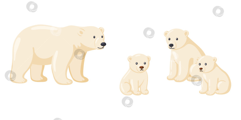 Скачать Милый набор арктических животных семейства Полярных медведей фотосток Ozero