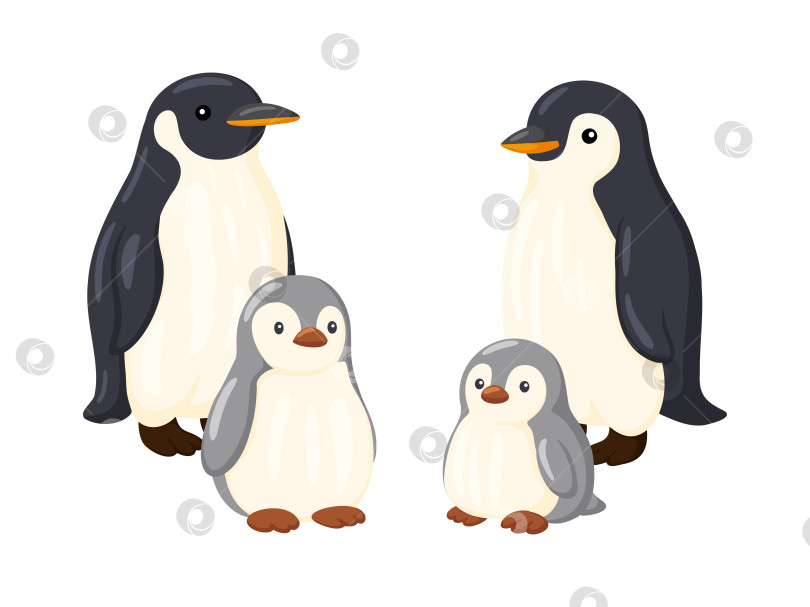 Скачать Семья пингвинов Двое взрослых и два птенца Иллюстрация фотосток Ozero