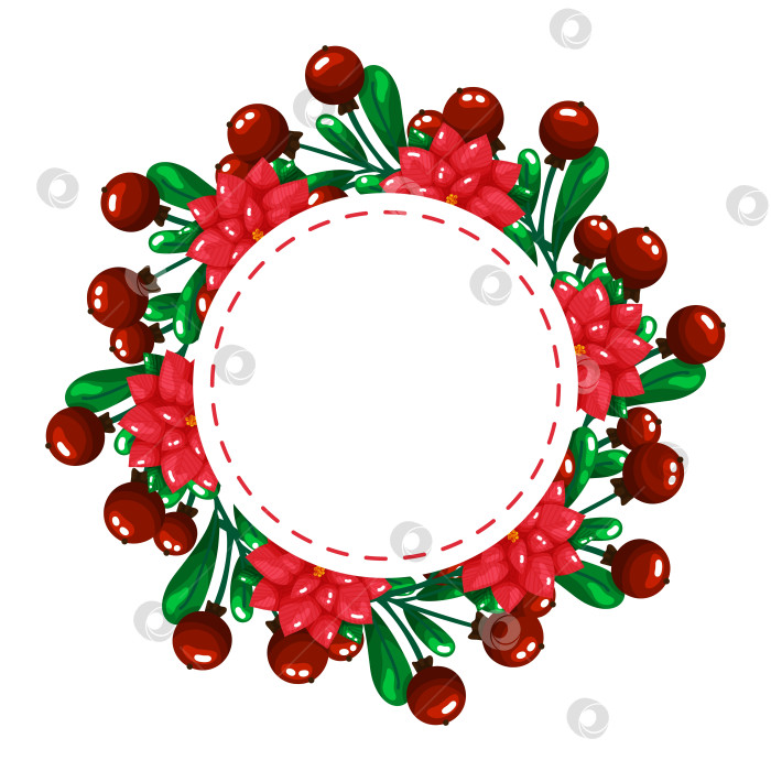 Скачать Рамка для праздничного венка из пуансеттии и ягод фотосток Ozero