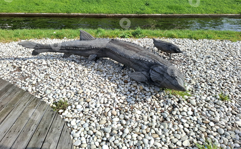 Скачать Арт-объекты в виде деревянных рыб вдоль реки Карповка, Санкт-Петербург фотосток Ozero