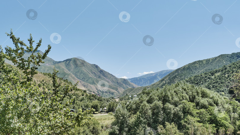 Скачать Живописный летний вид на ущелье Тургень в горах Заилийского Алатау, Казахстан фотосток Ozero