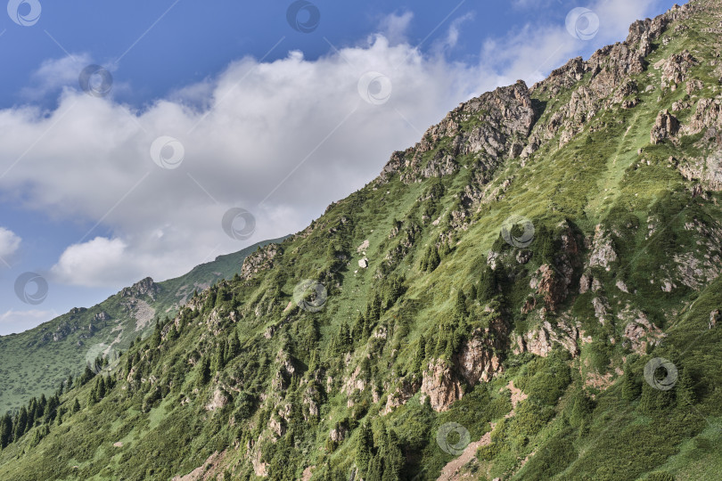 Скачать Крутые, зеленые горные склоны и хребты хребта Заилийский Алатау в Казахстане фотосток Ozero