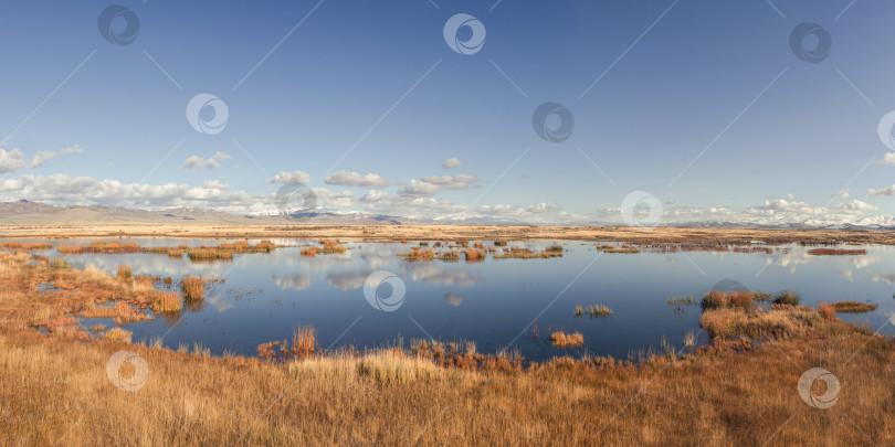 Скачать панорама чистого озера на высокогорном осеннем плато фотосток Ozero