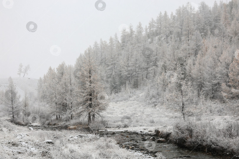Скачать Первый снег на реке. Осенний пейзаж фотосток Ozero