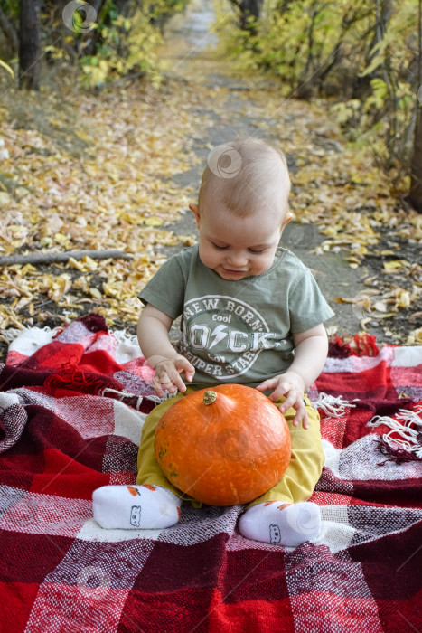 Скачать Малыш рад тыкве фотосток Ozero