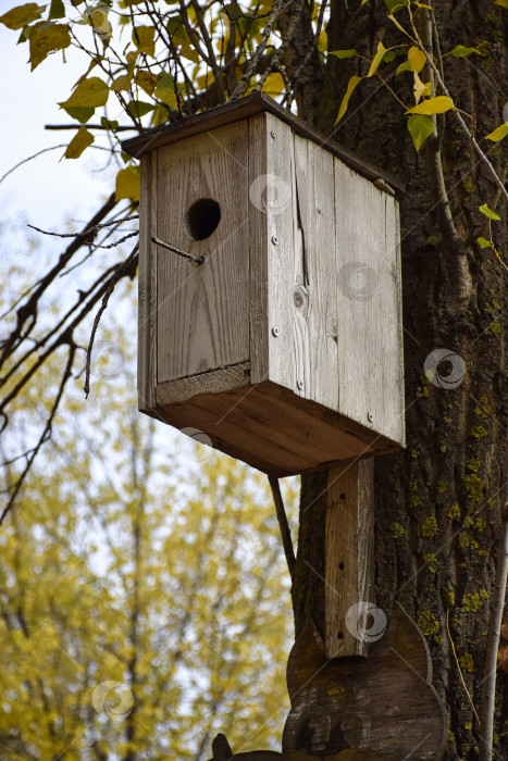Скачать Скворечник фотосток Ozero