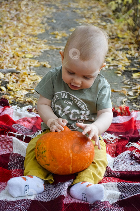 Скачать Малыш держит тыкву осенью в парке на фоне желтых листьев фотосток Ozero