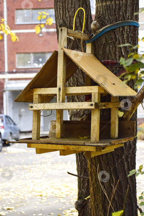 Скачать Кормушка для птиц из дерева в городе фотосток Ozero