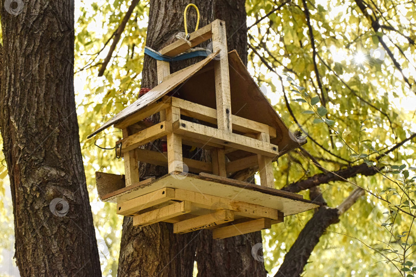 Скачать Кормушка деревянная для птиц фотосток Ozero