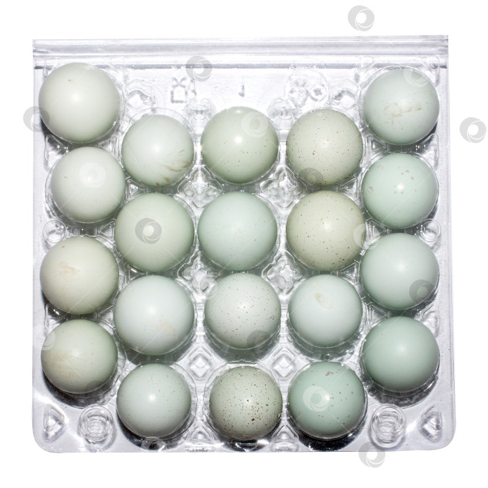 Скачать Перепелиные яйца являются диетическим продуктом питания. История приготовления перепелиных яиц.Перепелиные яйца в упаковке.Перепелиные яйца. фотосток Ozero
