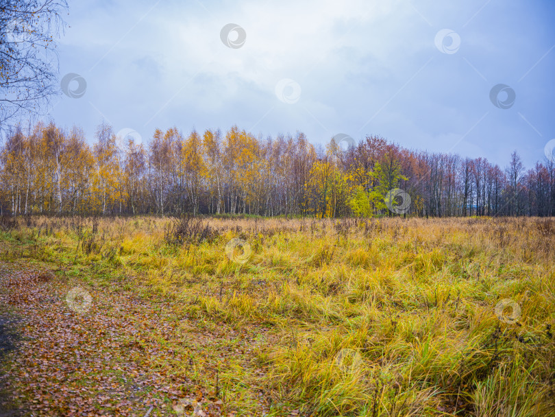 Скачать осенний пейзаж фотосток Ozero