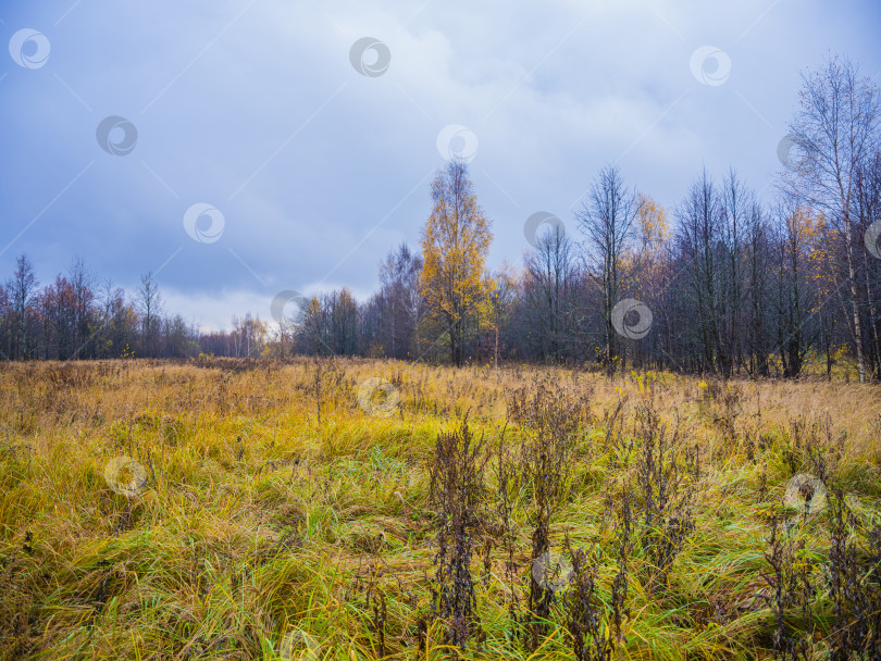 Скачать осенний пейзаж фотосток Ozero