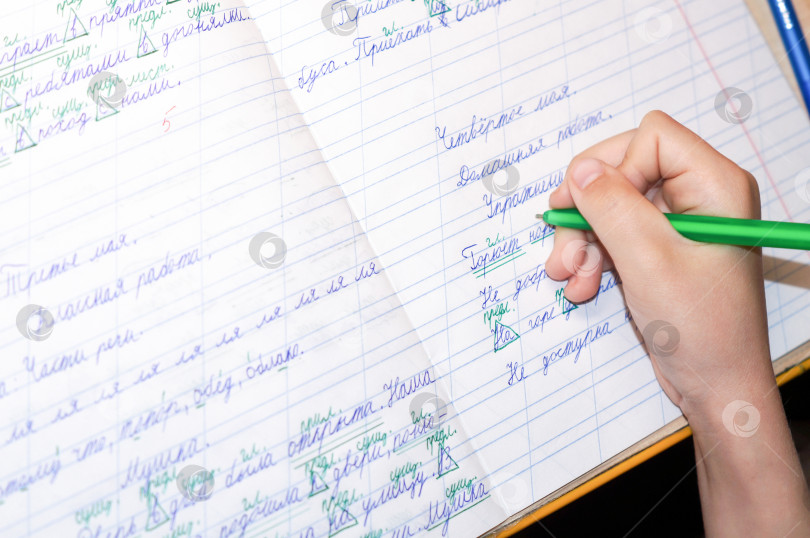 Скачать Ученик младших классов подписывает зеленой ручкой часть речи в тетрадке по русскому языку фотосток Ozero