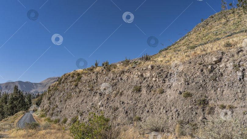 Скачать Асфальтированная дорога проходит вдоль крутого обрыва. фотосток Ozero