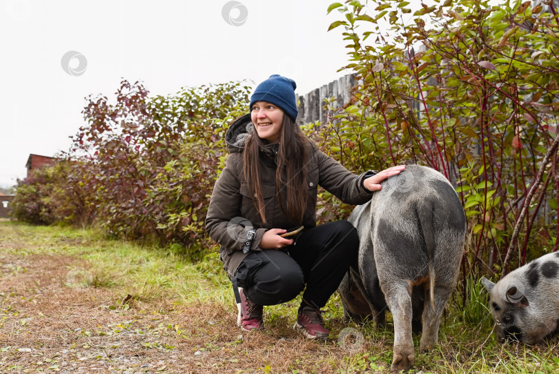 Скачать Улыбающаяся русская туристка сидит на корточках на открытом воздухе на ферме, гладит свинью, держа в руках телефон, наслаждаясь сельской жизнью в осенней сельской России. фотосток Ozero