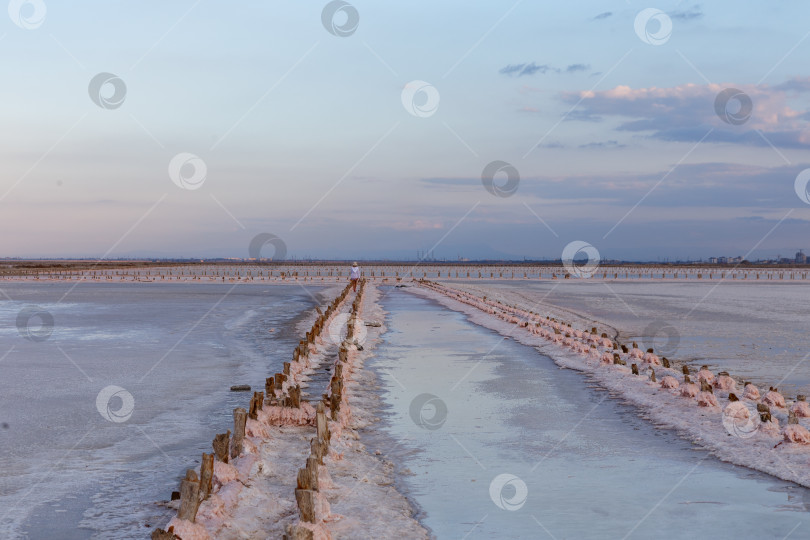 Скачать Розовая соль на  соляных прудах озера Сасык-Сиваш фотосток Ozero