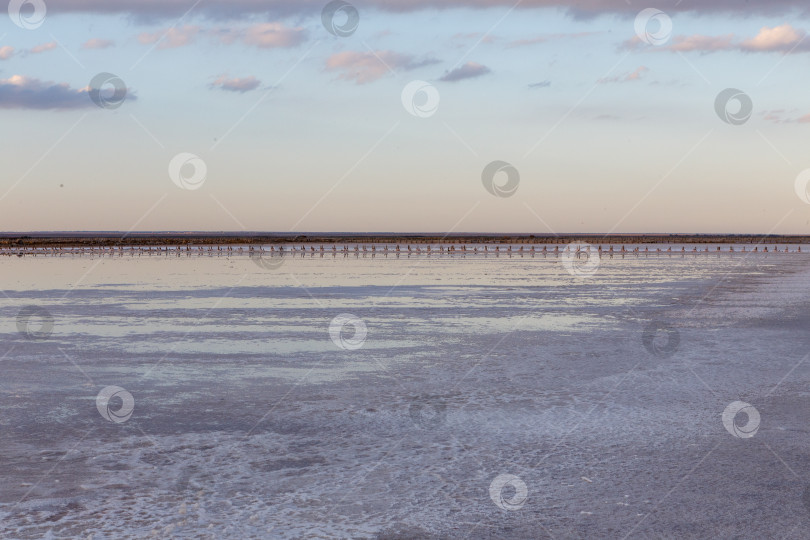 Скачать Соляные пруды на озере Сасык-Сиваш фотосток Ozero