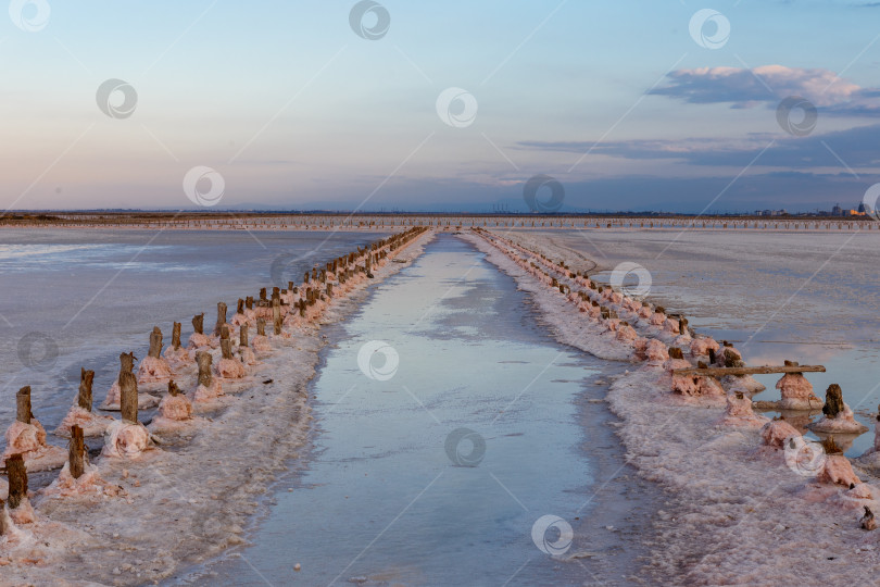 Скачать Розовая соль на  соляных прудах озера Сасык-Сиваш фотосток Ozero