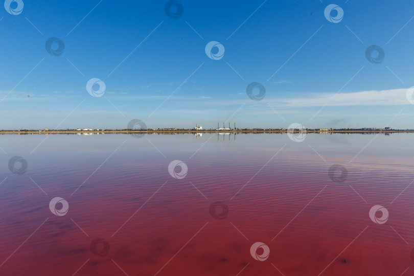 Скачать Сакское озеро ярко розового цвета фотосток Ozero