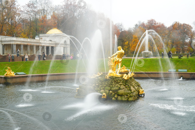 Скачать Осень в Нижнем парке в Петергофе фотосток Ozero