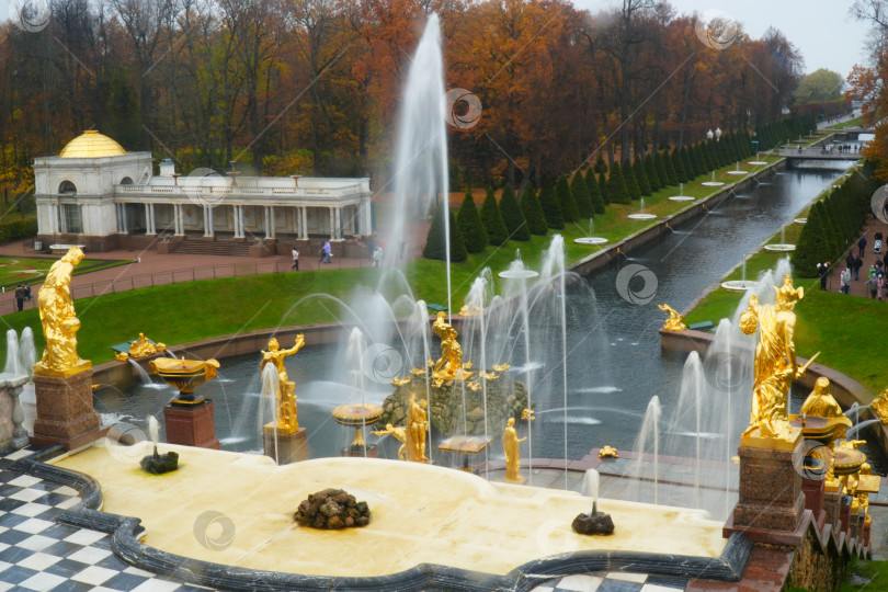 Скачать Осень в Нижнем парке в Петергофе фотосток Ozero