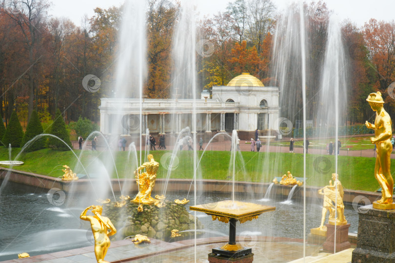 Скачать Осень в Нижнем парке в Петергофе фотосток Ozero