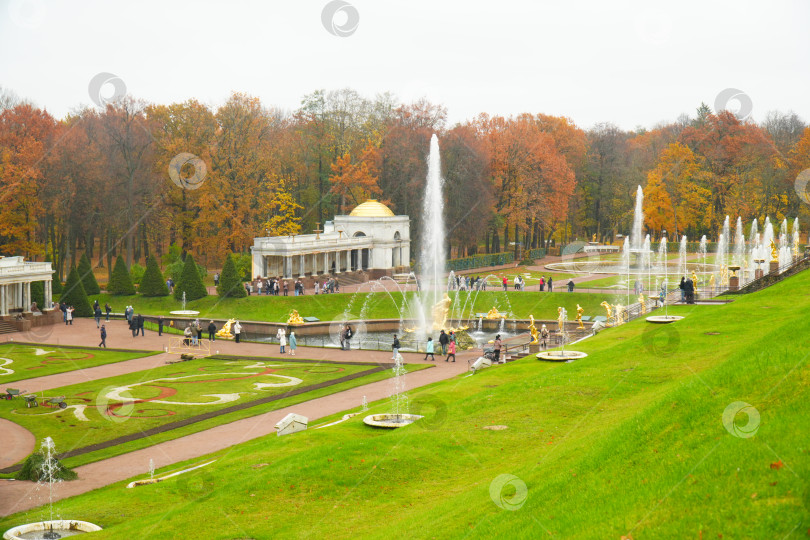 Скачать Осень в Нижнем парке в Петергофе фотосток Ozero