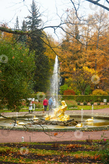 Скачать Осень в Нижнем парке в Петергофе фотосток Ozero