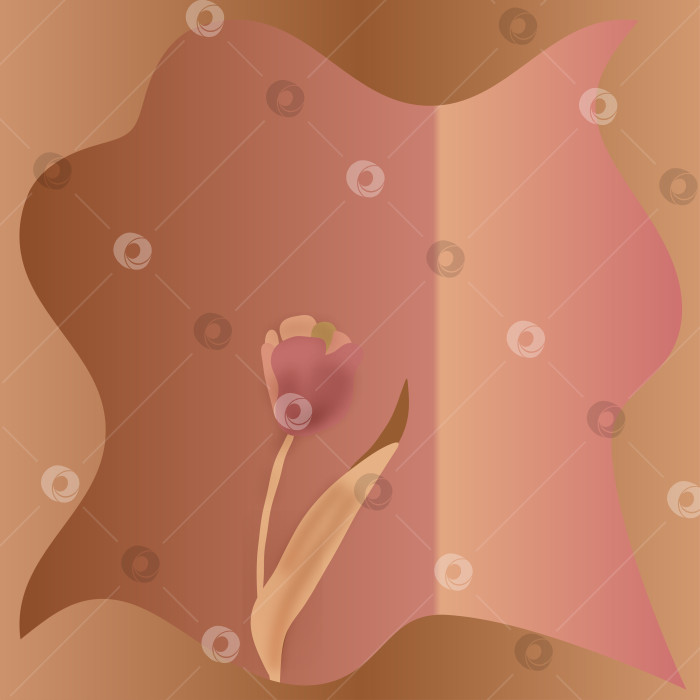 Скачать Тюльпан на градиентном фоне для открыток, веб-сайтов, приглашений. фотосток Ozero