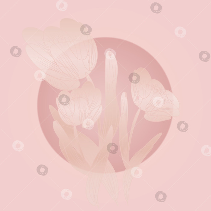 Скачать Стилизованный букет из полупрозрачных цветов на нежном фоне, в круглой рамке для ваших проектов. фотосток Ozero