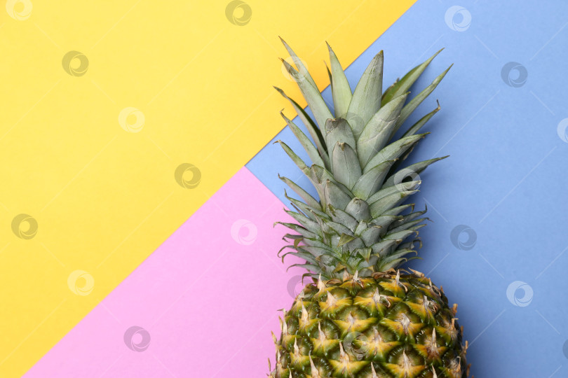 Скачать Тропический фрукт ананас на желто-сине-розовом фоне. фотосток Ozero
