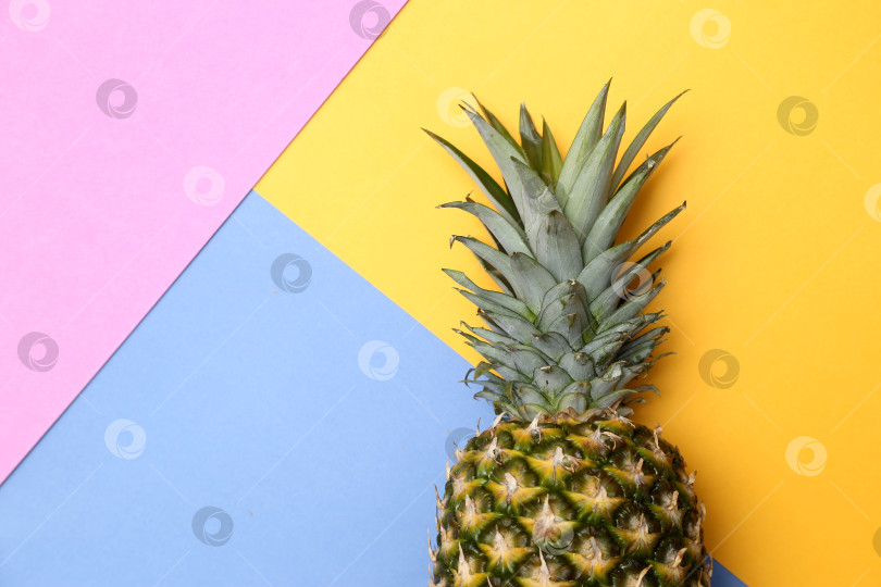 Скачать Тропический фрукт ананас на желто-сине-розовом фоне. фотосток Ozero