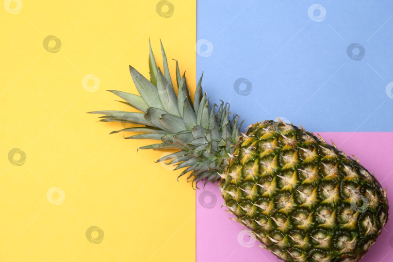 Скачать Тропический фрукт ананас на желто-сине-розовом фоне.Тропический фон для дизайна. фотосток Ozero