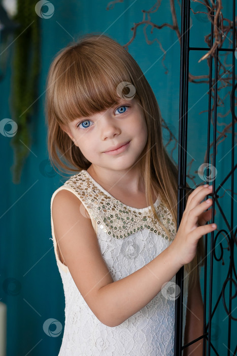 Скачать Портрет маленькой девочки с голубыми глазами фотосток Ozero