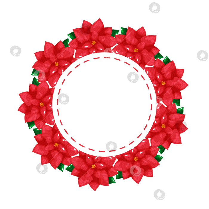 Скачать Рамка для этикетки праздничного венка из красной пуансеттии фотосток Ozero