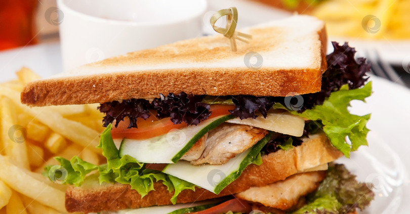 Скачать Сэндвич с курицей, листьями салата и огурцами на белом блюде. Европейская кухня. фотосток Ozero