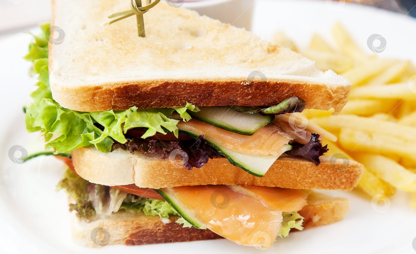 Скачать Сэндвич с лососем, листьями салата и огурцами на белом блюде. Европейская кухня. фотосток Ozero