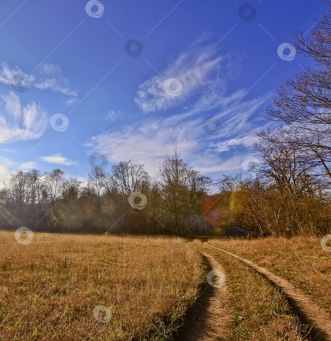 Скачать Осенний лес. Пейзаж фотосток Ozero