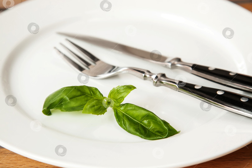 Скачать Свежие листья базилика крупным планом фотосток Ozero
