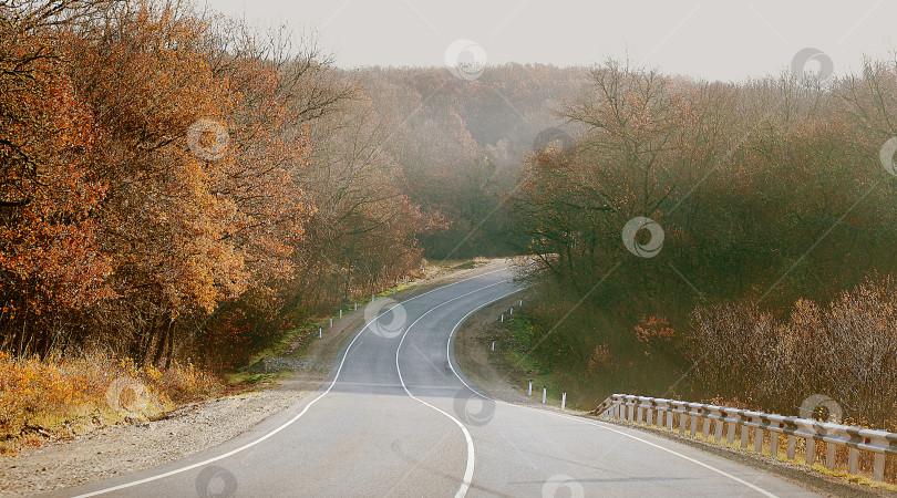 Скачать Дорога в окружении осенних деревьев фотосток Ozero