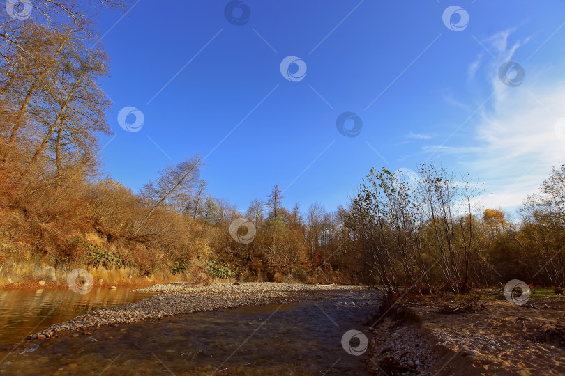 Скачать Река осенью фотосток Ozero